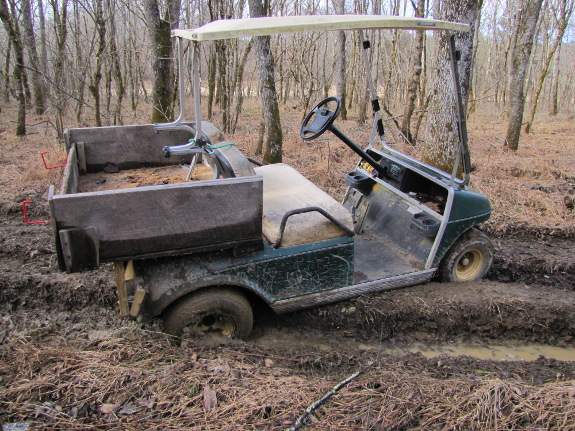 golf cart in the mud stuck