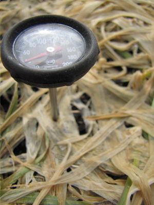 Measuring soil temperature