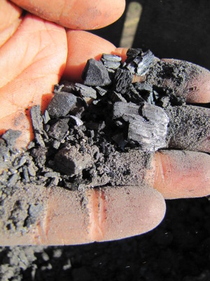 Handful of biochar