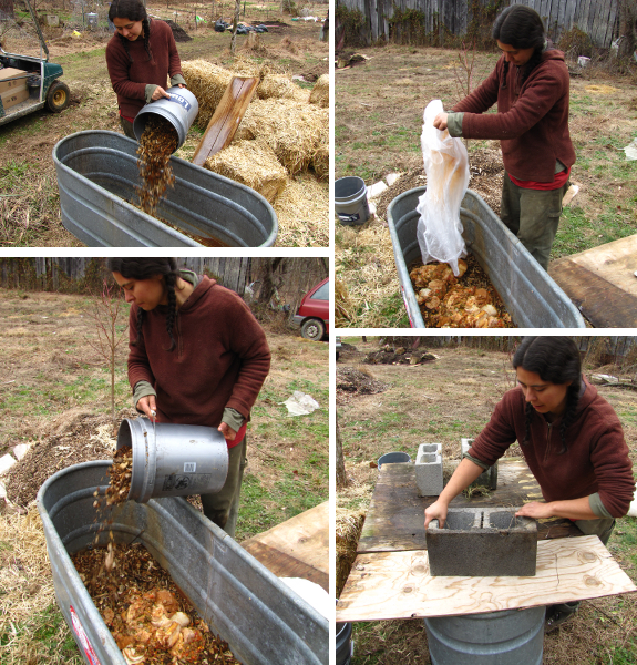 Composting food scraps with wood chips