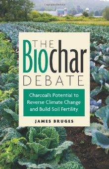 The biochar debate