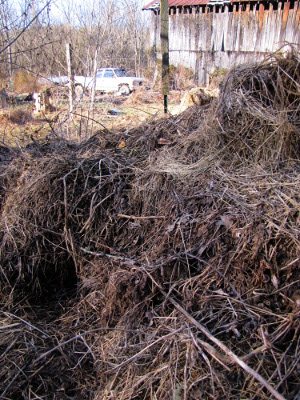 Winter compost pile