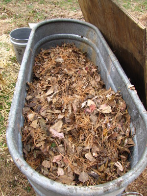 Browns in a compost bin