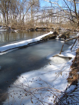 Log in a frozen river