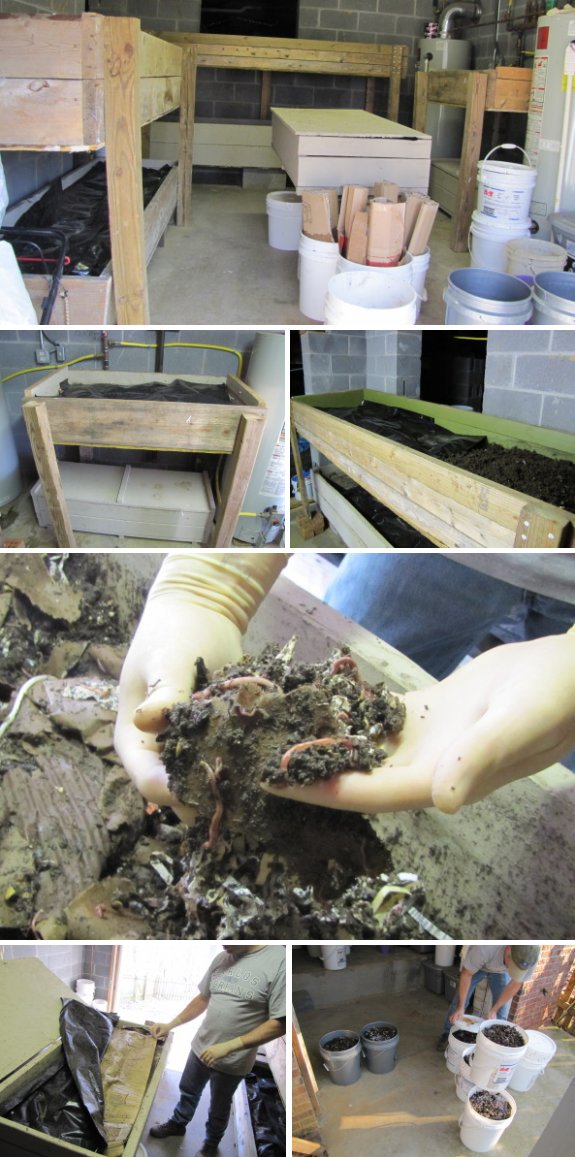 multiple worm bins in a basement with close up of worms