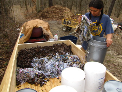 Filling a worm bin with bedding