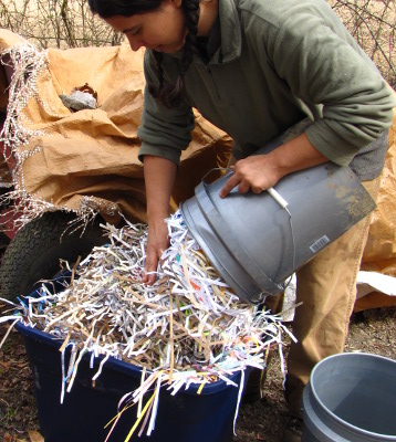 Shredded paper for worm bedding