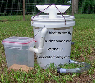 DIY black soldier fly bin made out of a 5 gallon bucket