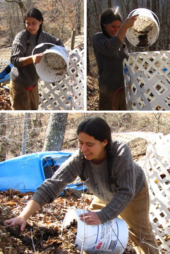 trio of 5 gallon bucket images with Anna as model