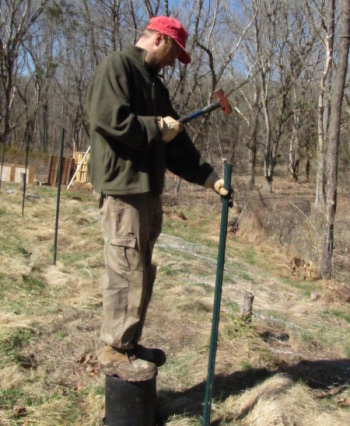 Pounding in a fence post