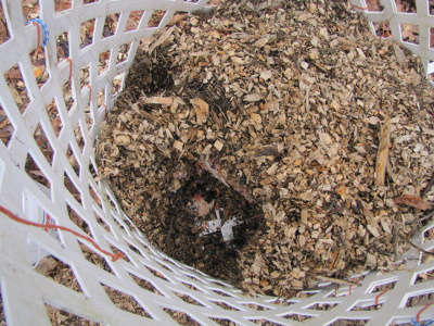 Holes in the compost bin