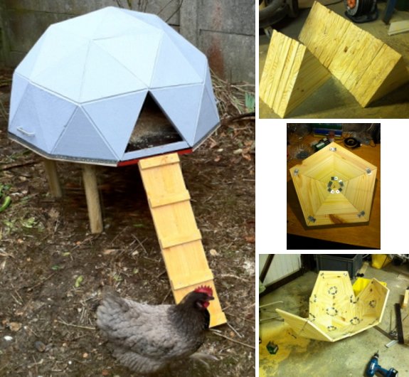 Geodesic dome chicken coop
