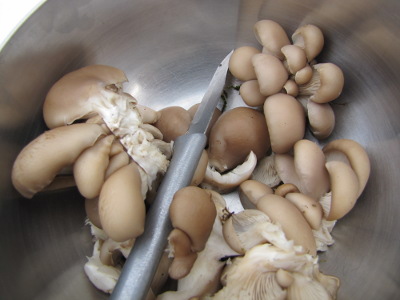 Bowl of oyster mushrooms