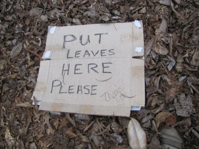 Collecting leaves for mulch