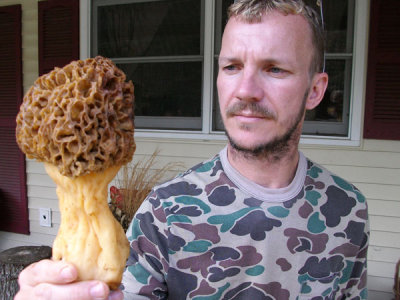 Gigantic prehistoric dinosaur like morel