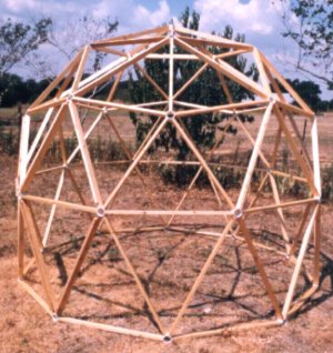 geodesic 2x4 dome or 1x1