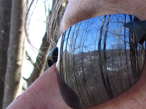 Reflection of trees in sunglasses