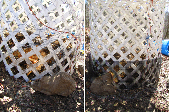 Compost bin