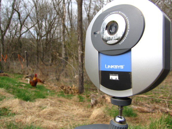 Linksys wireless G internet video camera