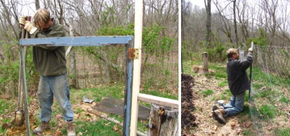 chicken pasture fence #4 in 2011