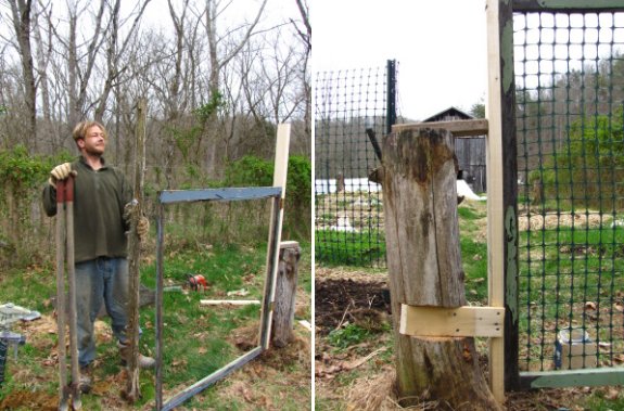 gate post made from existing stump in 2011 early spring chicken pasture #4