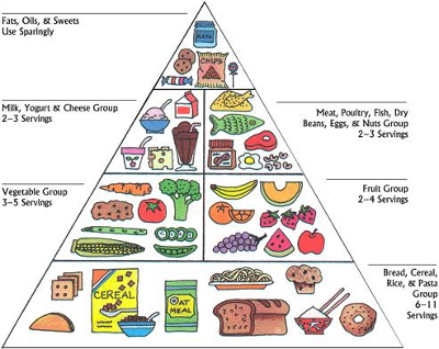 Food pyramid