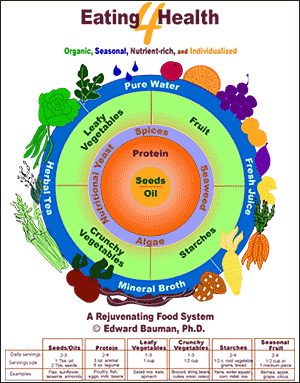 Edward Bauman's food wheel