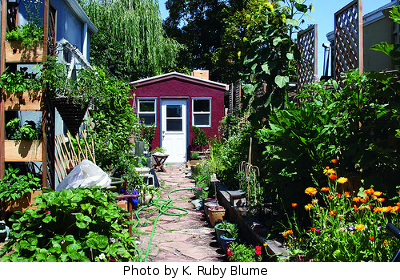 Driveway garden