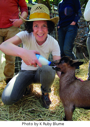 Bottle feeding a goat