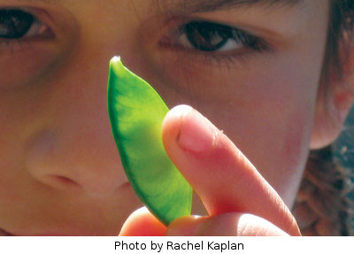 Child holding up a pea