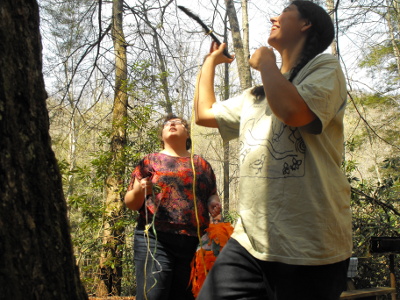 Throw stick to hoist rope over limb