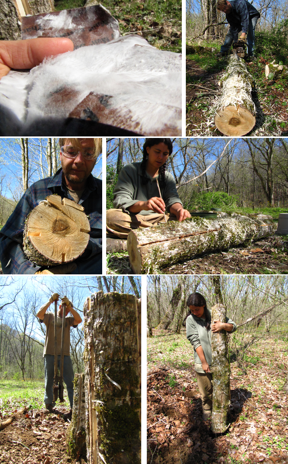 Making a mushroom totem