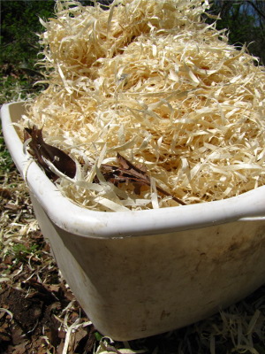 Wood shavings