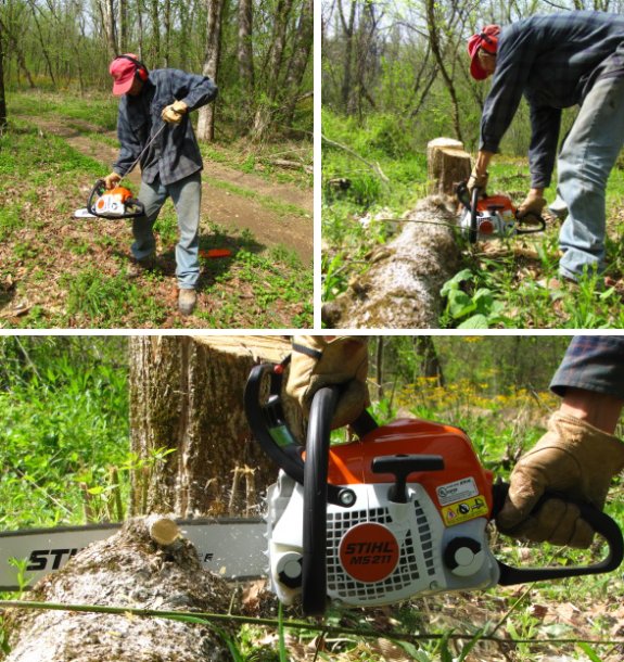 Stihl MS 211 chainsaw in action cutting firewood