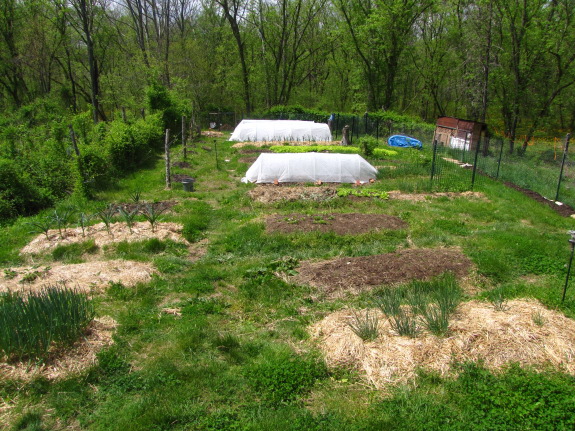 view of our mule garden from a ladder near the barn