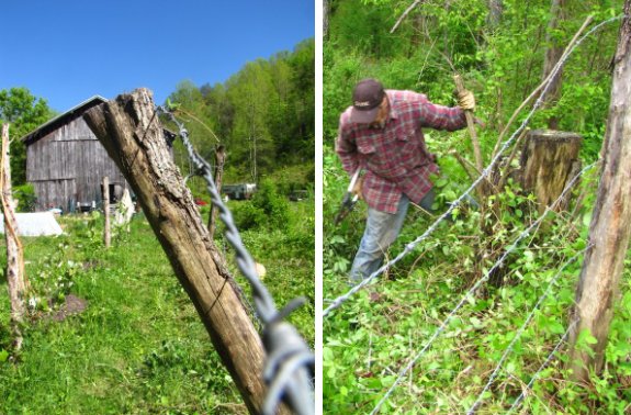 Close up of a fence post with barn in background and me working on barb wire deconstruction