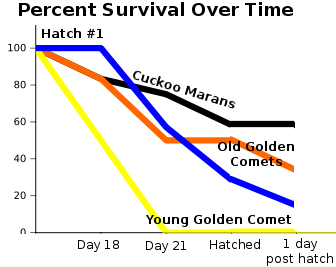 Percent survival over time