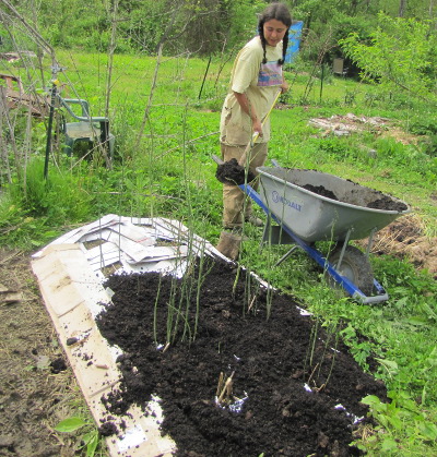 Making a kill mulch