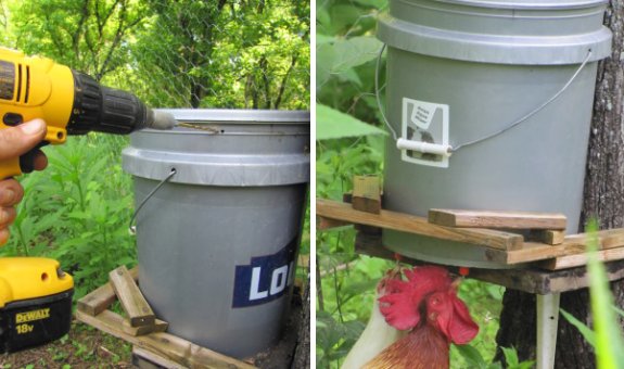 automatic chicken waterer do it yourself 5 gallon bucket note