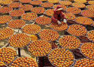 Sun-drying