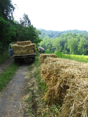 Truckload of straw