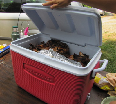 Chickens in a cooler