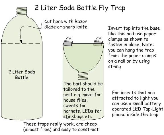 How to make a fly trap