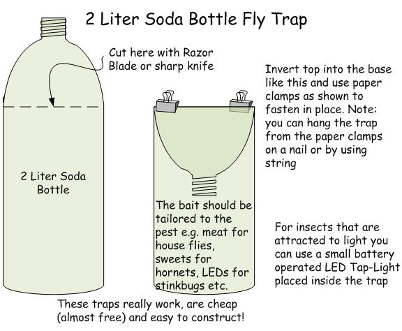 homemade japanese beetle traps