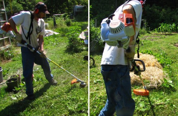 wacking weeds with a Stihl FS-90