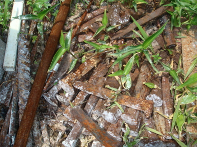 Rusty railroad spikes