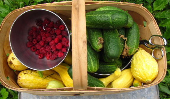 Garden basket