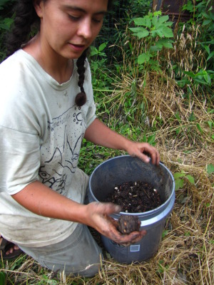 Making seed ball