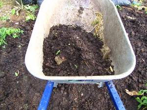 Mixing seed ball soil