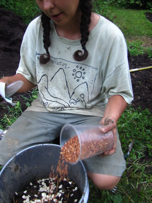 Mixing seeds for earth ball